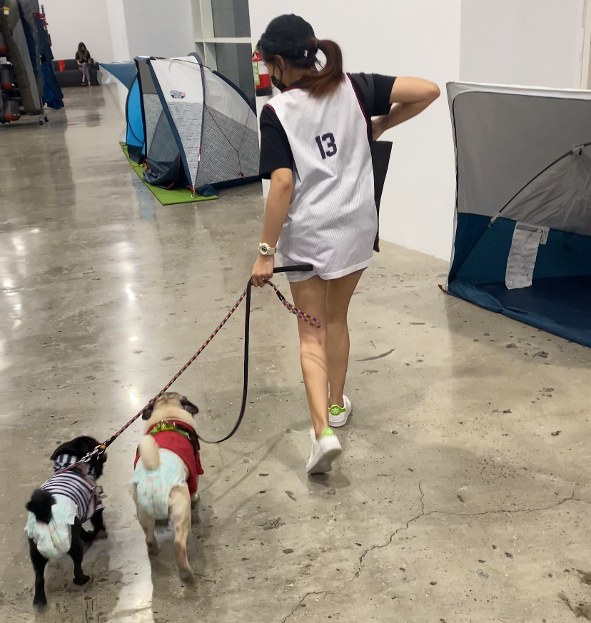 Beberapa tempat seperti Decathlon memperbolehkan anjing peliharaan masuk. (Foto MP/Shenna)