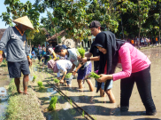 Puluhan Mahasiswa Malaysia Belajar Ukuwah di Lombok 