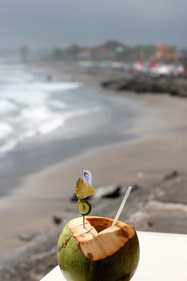 Air kelapa bisa membantu meningkatkan kolesterlol baik dalam tubuh. (Foto: Pixabay/Reisefreiheit_eu)