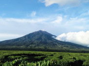 Lima Gunung yang Jadi Favorit Saat Libur Natal dan Tahun Baru