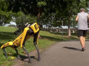 Robot Anjing Si Penjaga Jarak Sosial Asal Singapura 