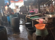 Harga Kedelai Meroket, DPR Kritik Kementan