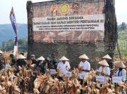 KASAD bersama Mentan Panen Jagung dan Singkong di Sukabumi