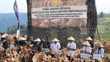KASAD bersama Mentan Panen Jagung dan Singkong di Sukabumi