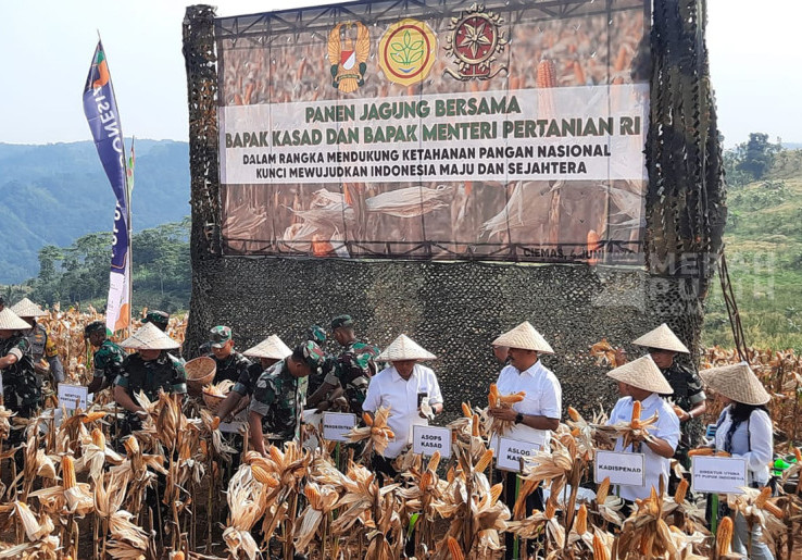 KASAD bersama Mentan Panen Jagung dan Singkong di Sukabumi