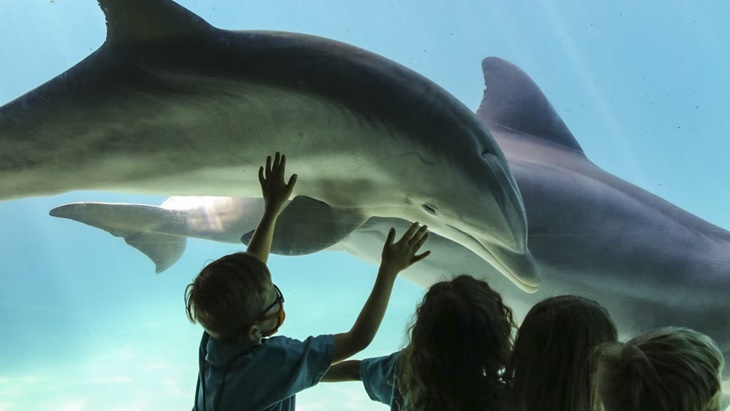 Isi Libur Lebaran Melalui Beragam Aktivitas Mengesankan 
