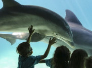 Isi Libur Lebaran Melalui Beragam Aktivitas Mengesankan 