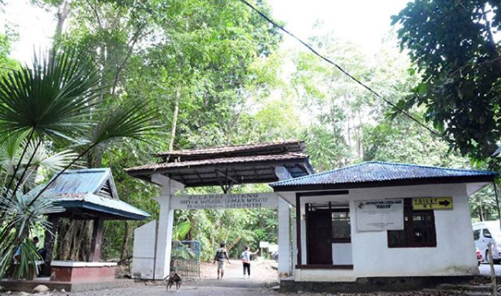 Cagar Alam Tangkoko, Belantara Rumah Tarsius dan Yaki di Tanah Minahasa