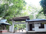 Cagar Alam Tangkoko, Belantara Rumah Tarsius dan Yaki di Tanah Minahasa