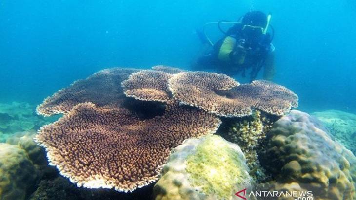 Kunjungan Turis Asing ke Babel Naik 150 Persen Lebih