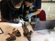 Ratusan Koleksi Benda Bersejarah Museum Nasional Telah Berhasil Dievakuasi