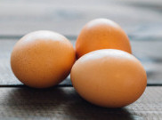 Cari Tahu Kualitas Telur dengan Cara Ini