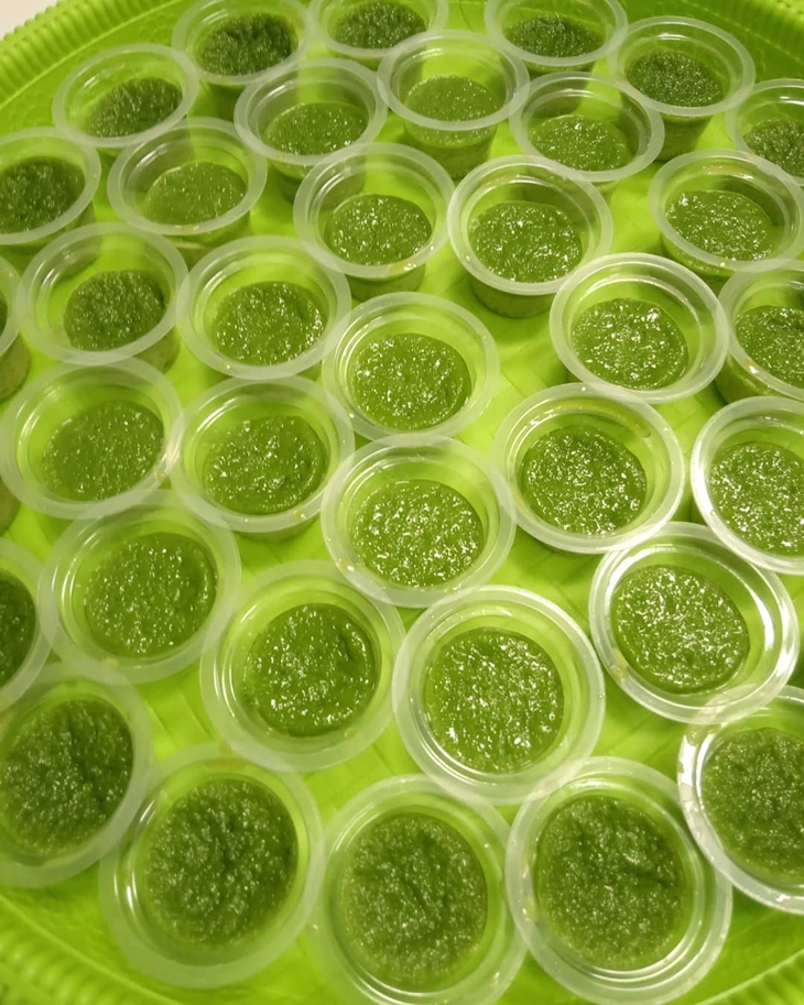 Kue srikaya bisa dimakan dengan kue lain. (Foto: instagram.com/mamika_cakes)