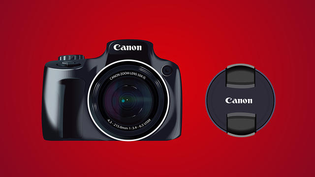 Kamera DSLR bersaing dengan mirrorless (Foto: Pixabay/Fauno)
