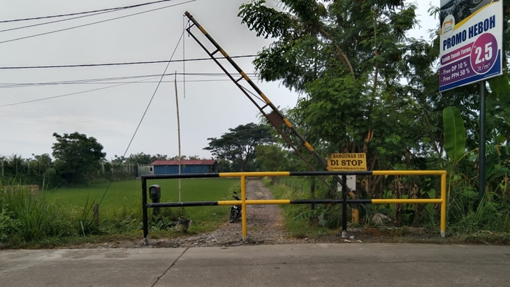 Sempat Viral, Kini Kawasan Wisata Padi-Padi Menyisakan Persoalan