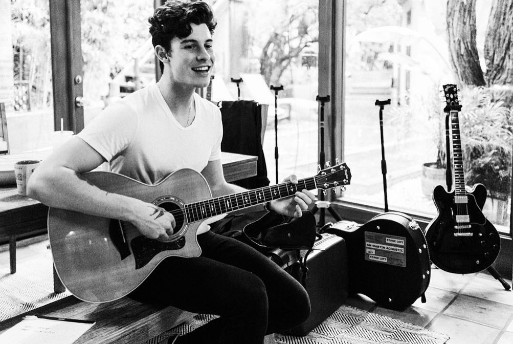 Shawn Mendes Grammy Awards 2019