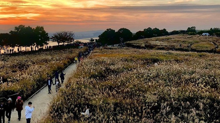 Haneul Park, Bekas Pembuangan Sampah yang Disulap Jadi Taman Indah