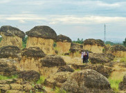 Bukit Jamur Destinasi Wisata Baru Gresik Pas Banget Buat Selfie