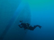 Spot Diving Terbaik Dunia ini Tawarkan Pengalaman Tak Terlupakan untuk Penyelam