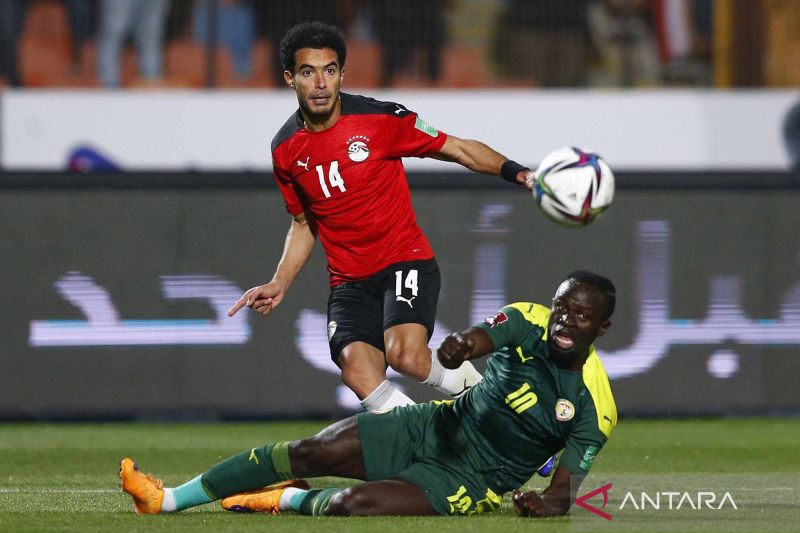 Lima Wakil Afrika di Piala Dunia 2022
