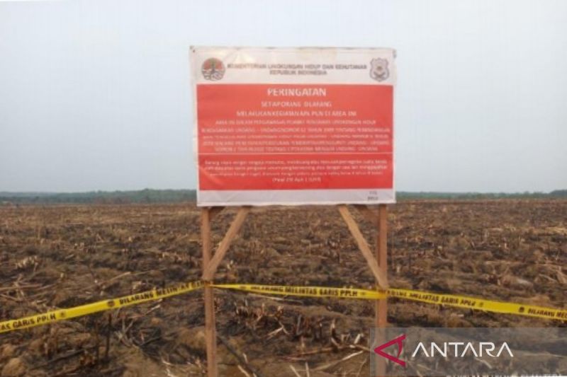 39 Lahan Milik Perusahaan Disegel KLHK Karena Karhutla
