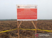 39 Lahan Milik Perusahaan Disegel KLHK Karena Karhutla