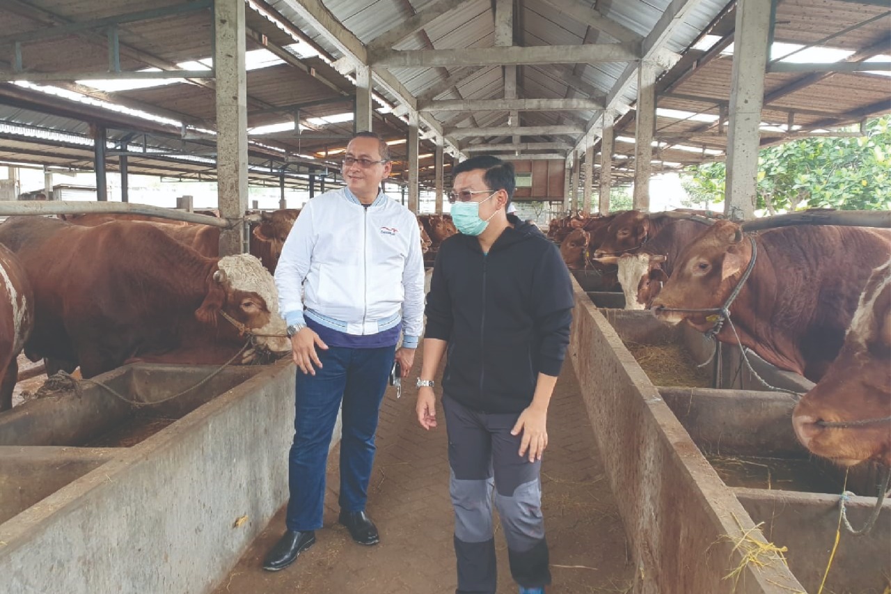 September 2021 Holding BUMN Pangan Sudah Terbentuk 