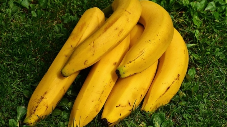 [HOAKS atau FAKTA]: Makan Pisang di Malam Hari Sebabkan Batuk