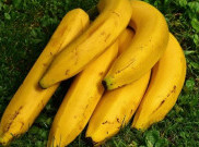 [HOAKS atau FAKTA]: Makan Pisang di Malam Hari Sebabkan Batuk