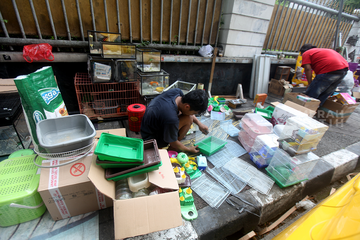 Pedagang mengumpulkan barang dagangan usai penertiban kios Pasar hewan Peliharaan Barito, Jakarta Selatan, Senin (27/10/2025).