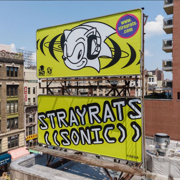 stray rats