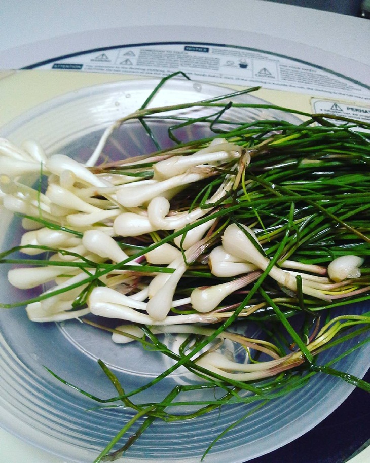Bawang batak. (Foto: instagram.com/bou_chacha)