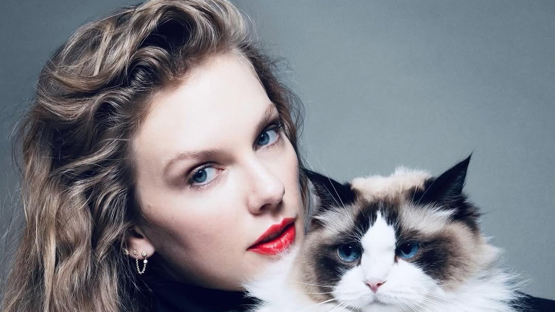 Dont Blame Me Lagu Populer Taylor Swift, Liriknya Tentang Obsesi Cinta Sang Diva