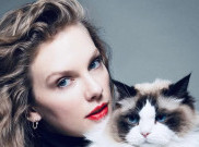 Dont Blame Me Lagu Populer Taylor Swift, Liriknya Tentang Obsesi Cinta Sang Diva