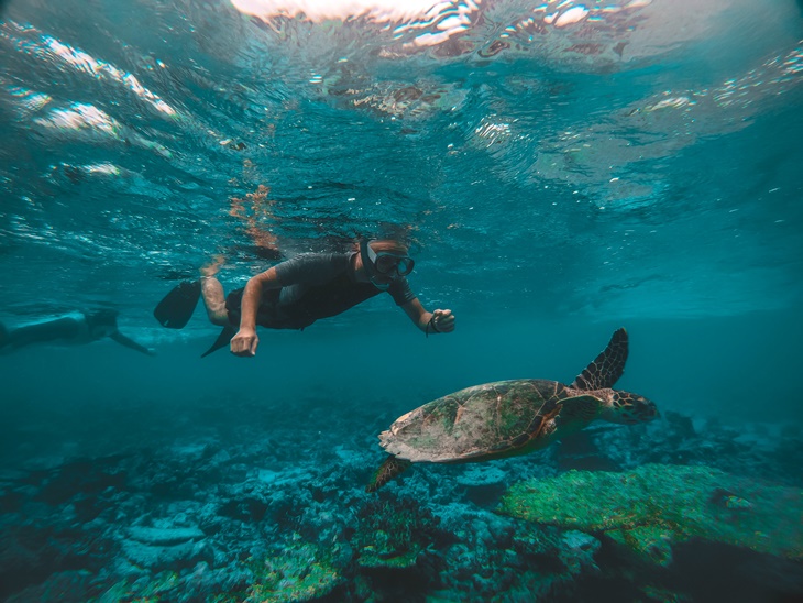 diving