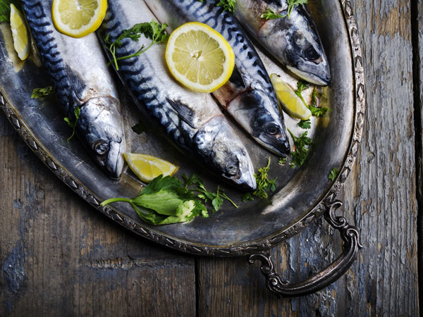 Ikan (Foto: Boldsky)
