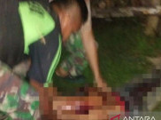 4 Pekerja Jalan Korban Pembantaian KKB Dievakuasi, 1 Orang Masih Hilang
