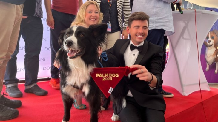 Anjing Collie dalam film 'Anatomy of a Fall' Gondol Cannes Palm Dog
