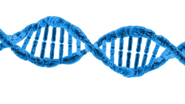 Terobosan Anyar, DNA berhasil Direkayasa
