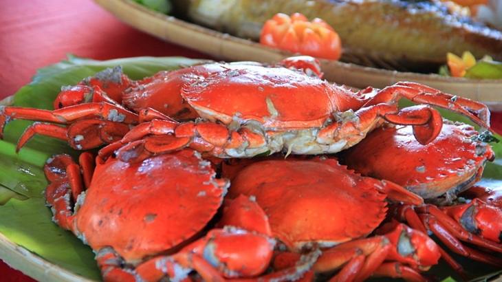 Ragam Manfaat Dahsyat Daging Kepiting bagi Kesehatan