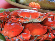 Ragam Manfaat Dahsyat Daging Kepiting bagi Kesehatan