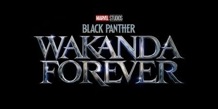 black Panther: wakanda Forever
