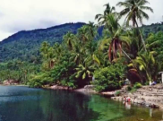 Danau Maninjau dan Ikan-Ikan yang Terancam Punah 