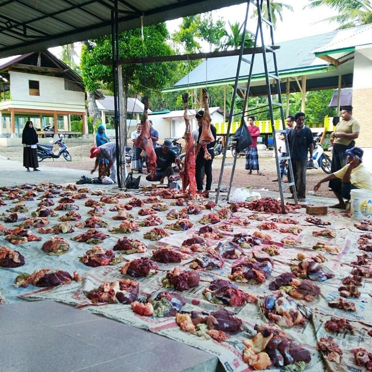 Meuripee berarti patungan untuk pembelian kerbau atau sapi. (Foto: Pixabay/instagram.com/192.168.1.16)