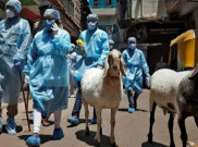 Kasus COVID-19 di India Capai 4,3 Juta