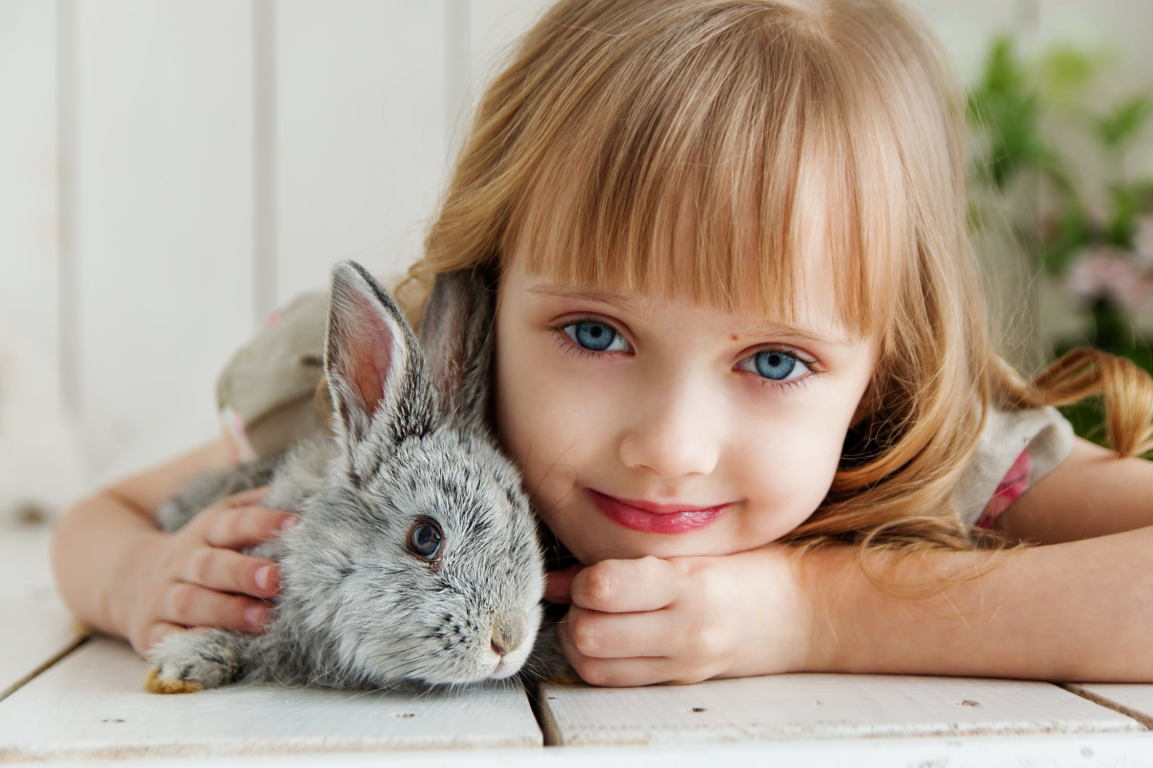 Binatang bisa membantu anak untuk lebih mengenal lingkungan (Foto: pexels/Anastasiya Gepp)
