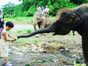 Bingung Bawa Keluarga Liburan ke Mana? Wisata Outdoor Terfavorit Dunia Ini Pasti Memikat