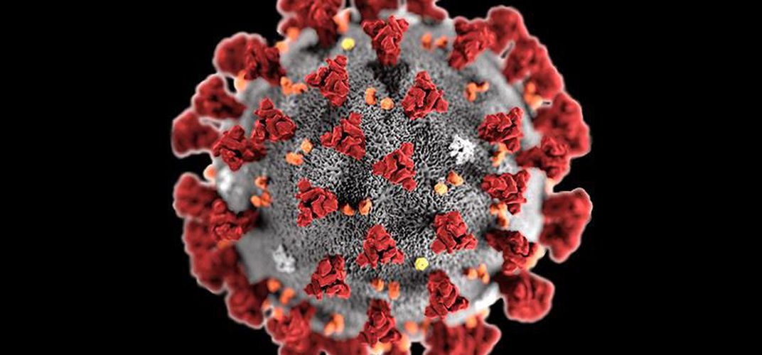 Bagaimana Cara Membedakan Virus Corona dan Flu Biasa?