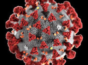 Bagaimana Cara Membedakan Virus Corona dan Flu Biasa?