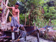 Kuliner Ini Paling Ekstrem dari Mentawai, Berani Coba?